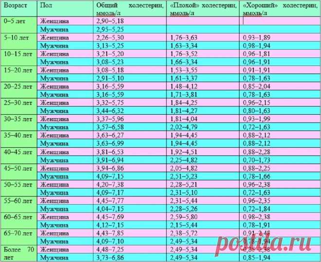 Кардиолог рассказал, как можно снизить уровень холестерина без лекарств