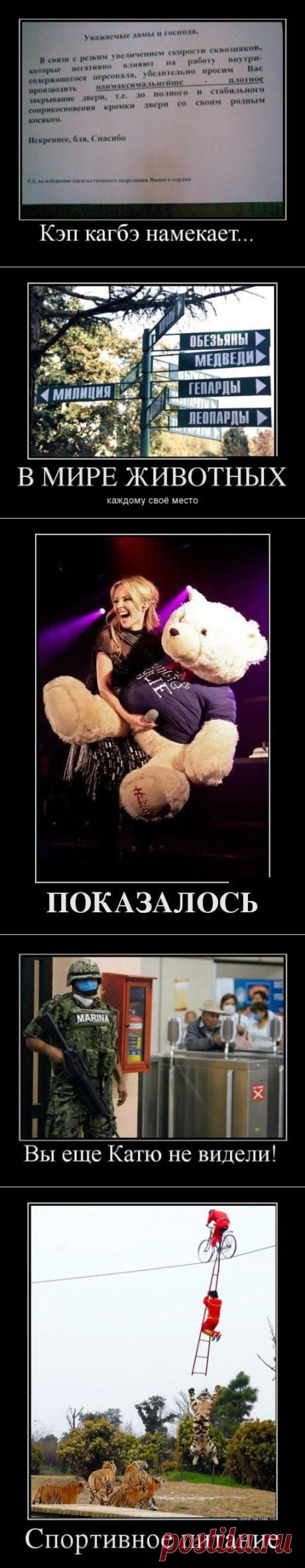 Подборка демотиваторов, для поднятия настроения