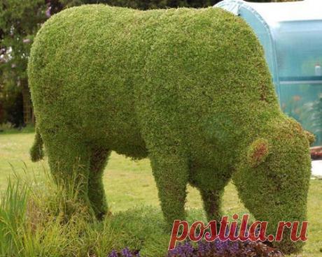 topiari-8.jpg (500×400)