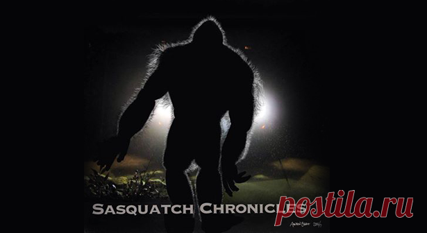 Сайт Sasquatch / chronicles
Сайт Сасквоч / летописи