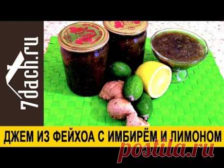 Джем из фейхоа с имбирём и лимоном - 7 дач