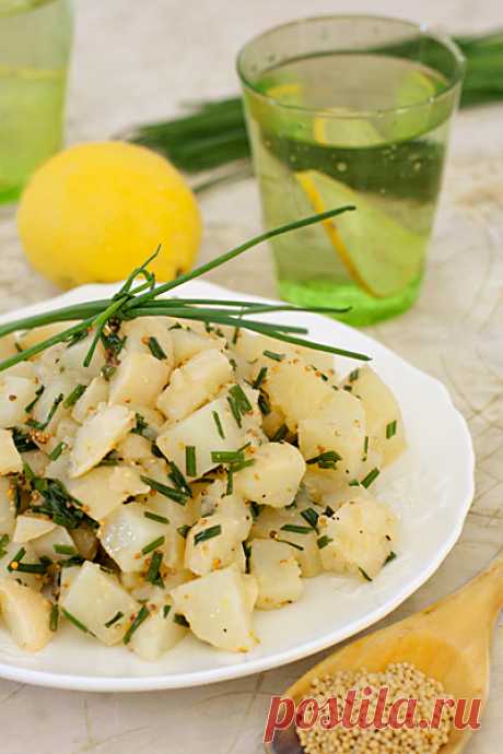 Картофельный салат — 3 картофелины
2 ст.л. крепкого куриного бульона
1 ст.л. белого винного уксуса
1/2 ст.л. сладкой горчицы
3 ст.л. оливкового масла
1 ст.л. лимонного сока
зелёный лук или шнитт-лук
соль
перец

Картошку сварить в мундире, слить воду, подсушить в пустой кастрюле 1-2 минуты на маленьком огне, очистить, порезать кубиками. Все ингредиенты заправки перемешать и слегка взбить венчиком, лук мелко порезать. Перемешать картошку, заправку и лук. Подавать тёплым