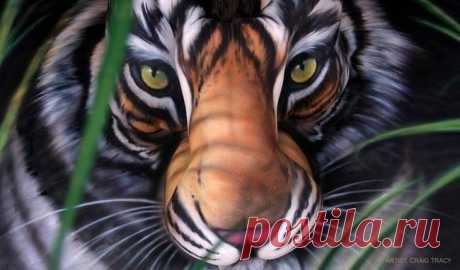 смотри в обе!