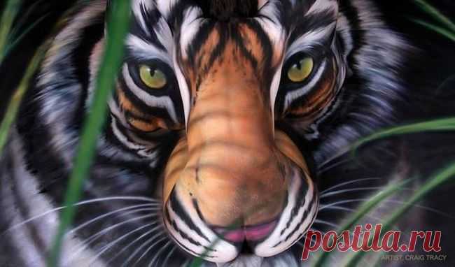 смотри в обе!