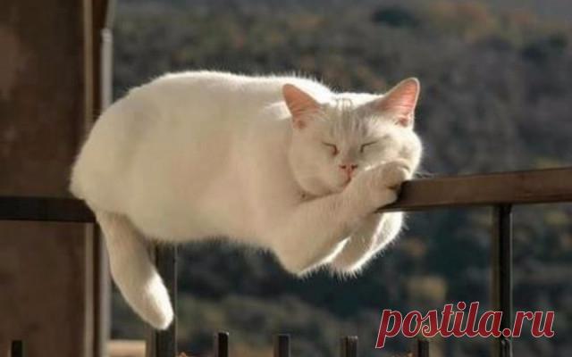 Супер кадр из интернета!