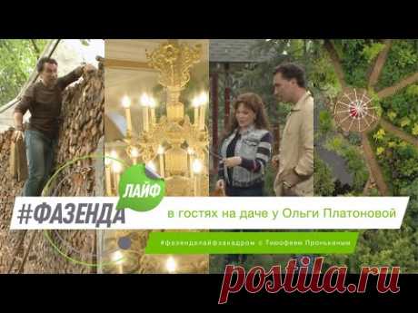 ФАЗЕНДА ЛАЙФ. СПЕЦИАЛЬНЫЙ ВЫПУСК. ВЕДУЩИЙ – ТИМОФЕЙ ПРОНЬКИН. ГОСТЬ – ОЛЬГА ПЛАТОНОВА