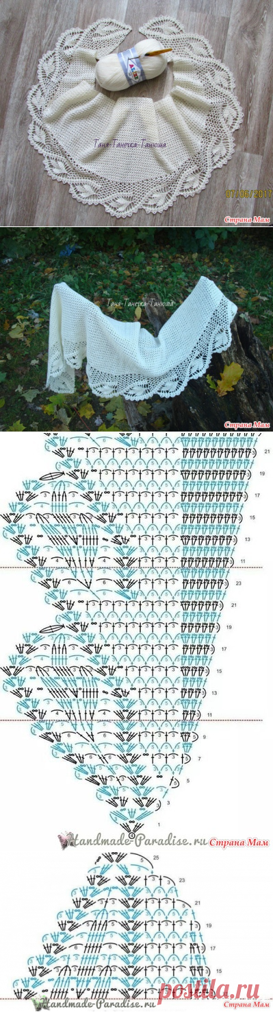 Бактус 