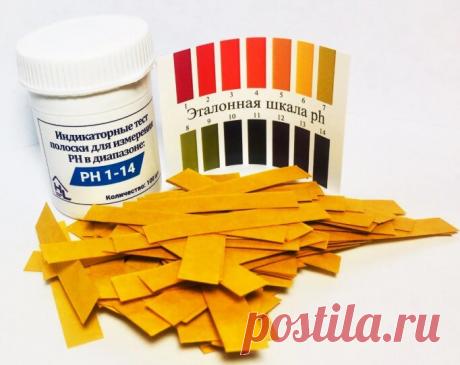 Можно ли пить из колодца? Как определить качество воды в домашних условиях, хим.анализ (PH, dGH) и 6 народных способов | Строю для себя | Яндекс Дзен