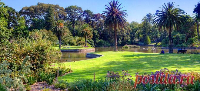 Королевский ботанический сад, Мельбурн (Австралия)