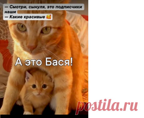 Выпуск №7004 - выпуск анекдотов сайта вокруг смеха