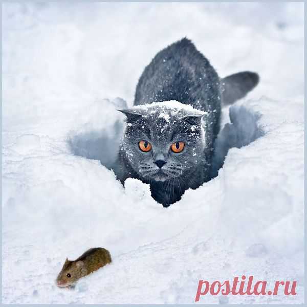 Follow me...