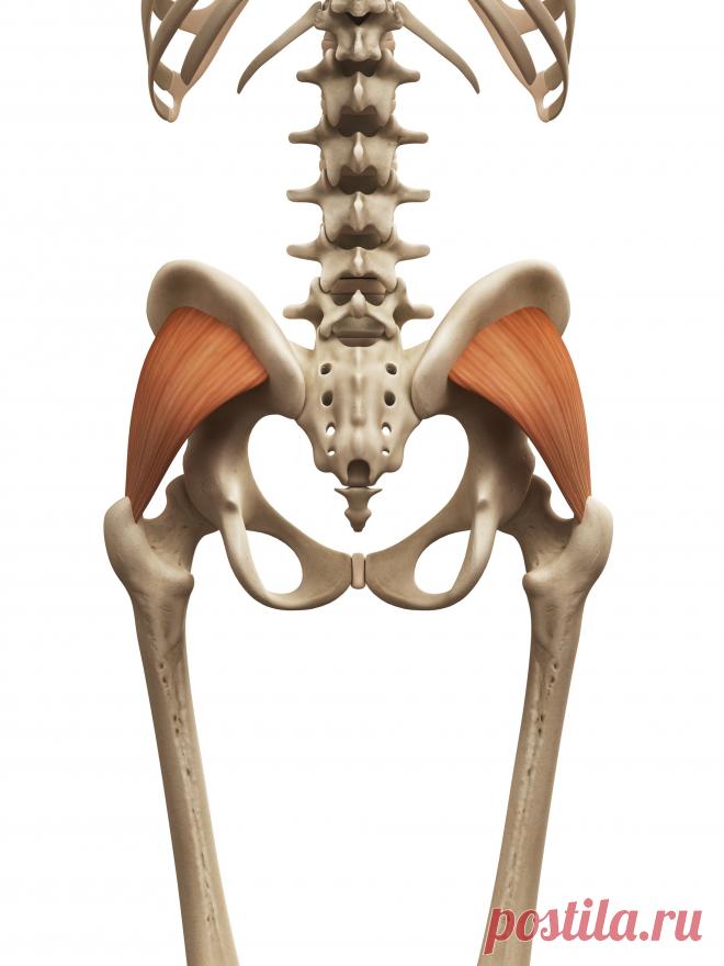 Болезни тазобедренного сустава | Коксартроз