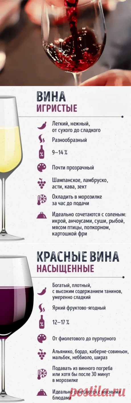 Учимся правильно разбираться в винах - Все для Вас!