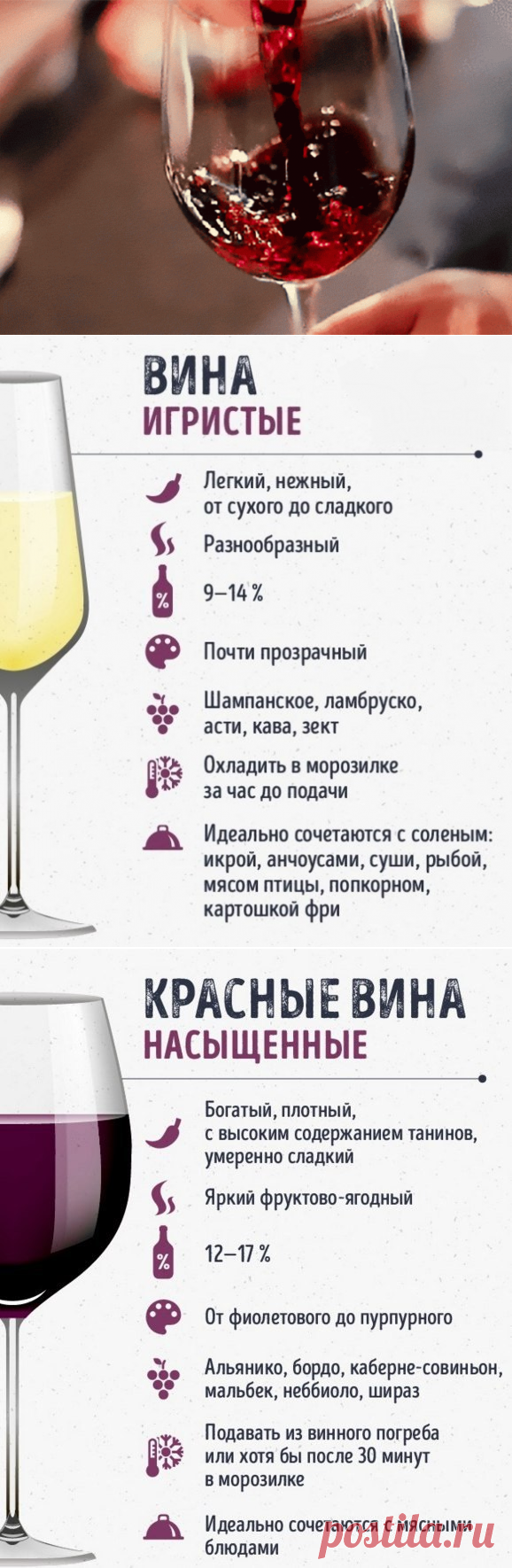 Учимся правильно разбираться в винах - Все для Вас!
