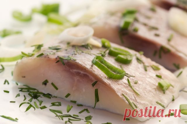 День селёдки. Полезные советы по выбору, хранению и очистке рыбы | Продукты и напитки | Кухня | Аргументы и Факты