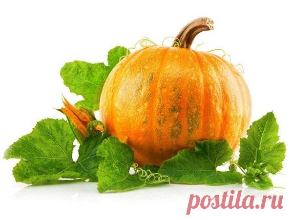 Этот рецепт даже врачей удивил: полностью очищает кровь, контролирует диабет, мочевую кислоту и не только!