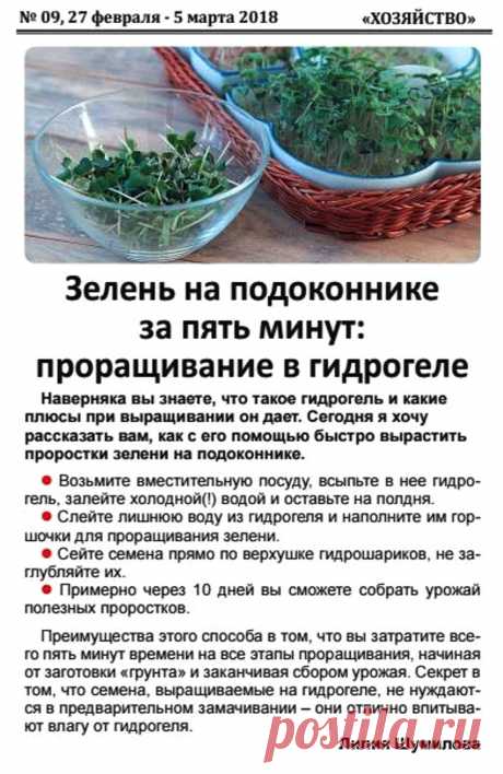 Зелень на подоконнике за пять минут: проращивание в гидрогеле