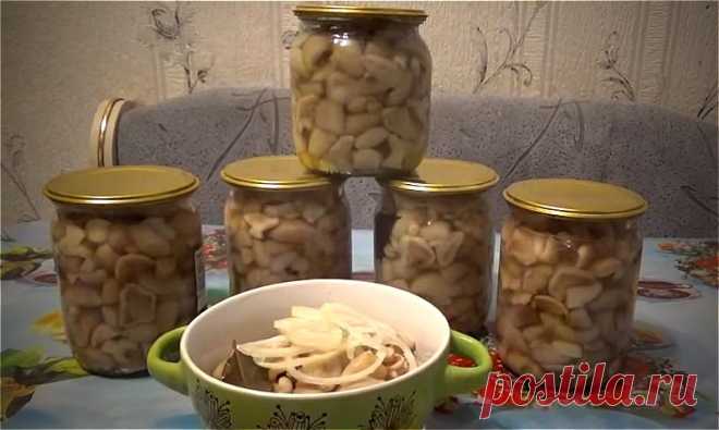 Как мариновать маслята на зиму в банках - самые вкусные и простые рецепты маринованных маслят