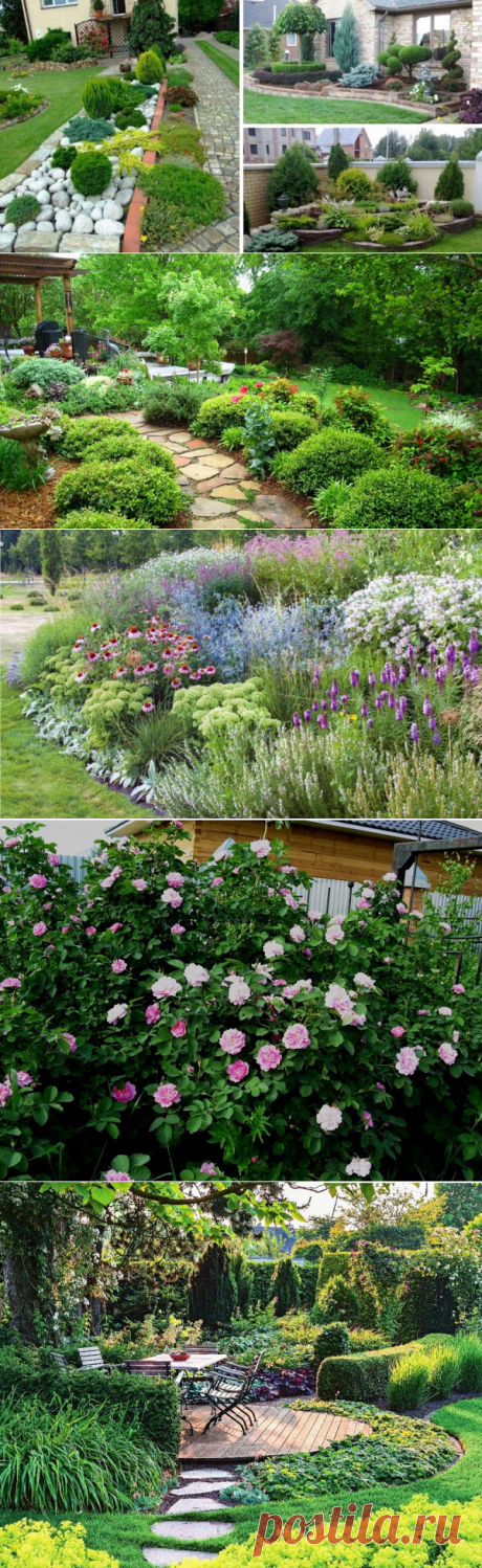 Верх удобства! Идеи сада для ленивых. Можно не ухаживать — растет само, и как пышно! — Копилочка полезных советов