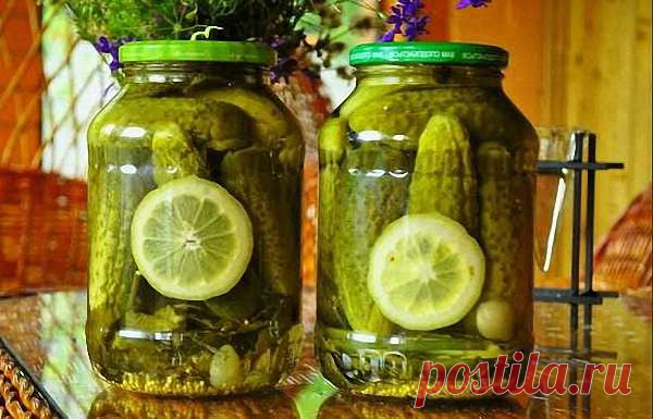 Огурцы на зиму с лимоном — Дачный участок