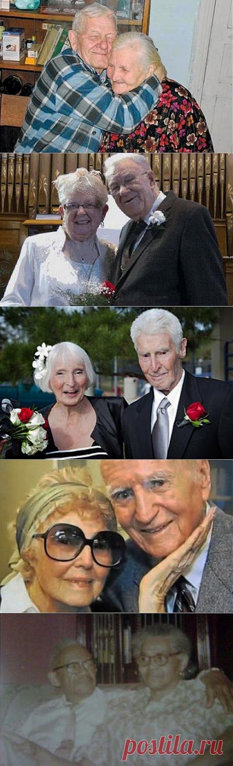 Топ-10 Удивительных историй любви, которые разобьют вам сердце | Разно Всяко