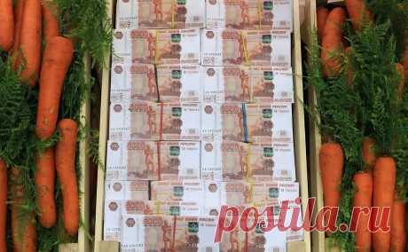 Инвесторы вложили в фонды денежного рынка рекордные ₽138 млрд. Из-за роста ключевой ставки и жесткой риторики ЦБ инвесторы рекордно нарастили вложения в фонды денежного рынка и фонды облигаций. Из фондов акций средства, наоборот, утекают