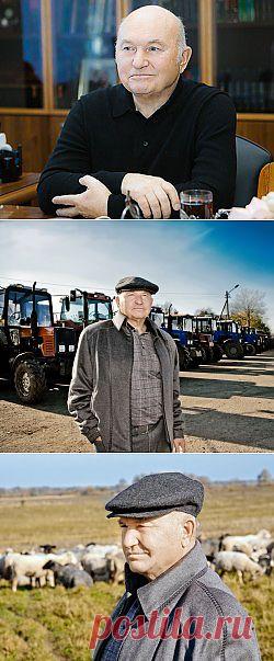 Ю. Лужков: Власть должна остановить исход активной части общества :: Прямая речь :: Top.rbc.ru