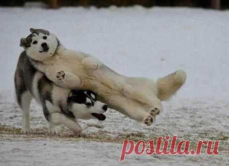 Новости