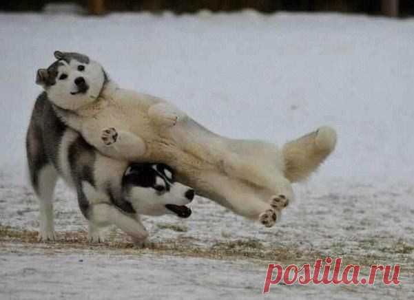 Новости