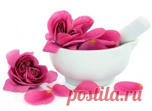 Укус комара приковал девушку к инвалидному креслу