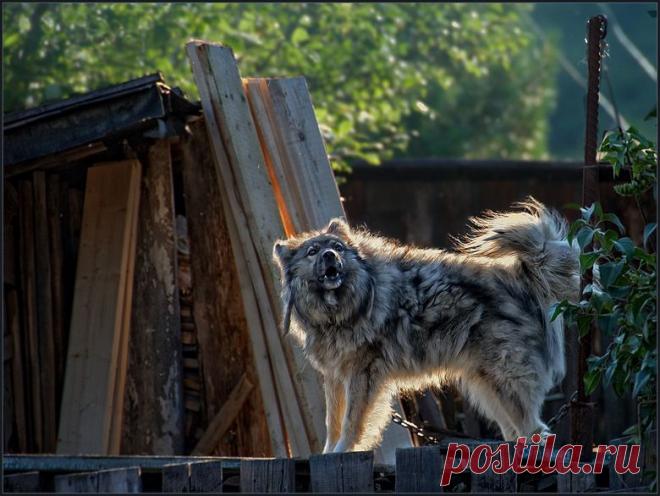 35PHOTO - владимир - Сольный проект ...