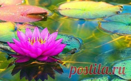 Каждая секунда к нам не возвратится, 
Но ещё есть время, чтобы в жизнь влюбиться! 
Но ещё есть время, чтоб сказать однажды: 
Каждая секунда нашей жизни – СЧАСТЬЕ!