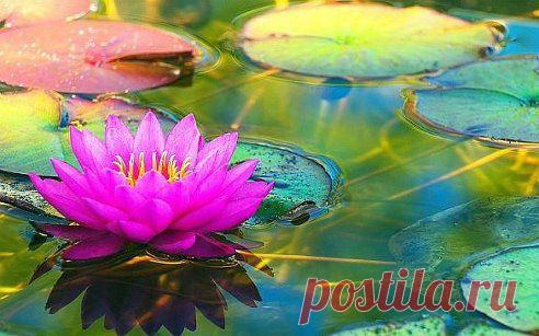 Каждая секунда к нам не возвратится, 
Но ещё есть время, чтобы в жизнь влюбиться! 
Но ещё есть время, чтоб сказать однажды: 
Каждая секунда нашей жизни – СЧАСТЬЕ!