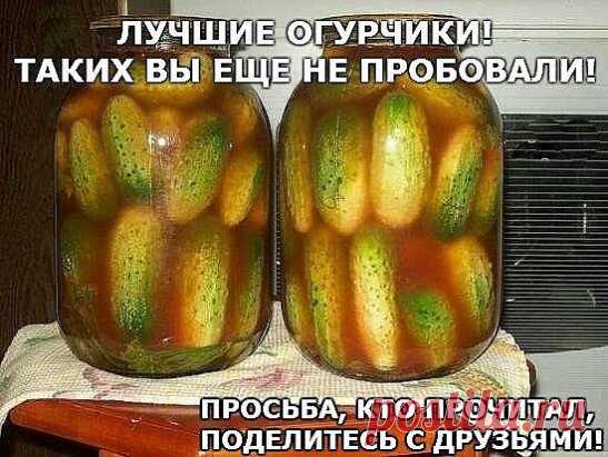 Эти огурчики я попробовала на пикнике 1 мая в прошлом году. Принесла их коллега по работе со словами:
