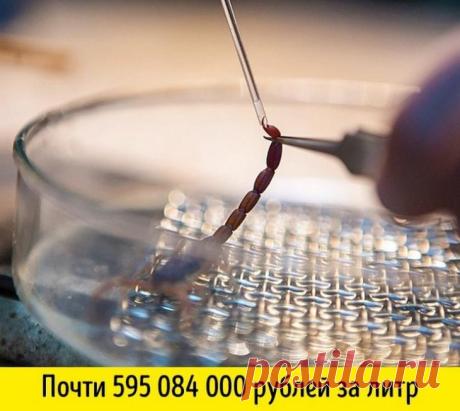 15 дорогих жидкостей, которыми мы пользуемся