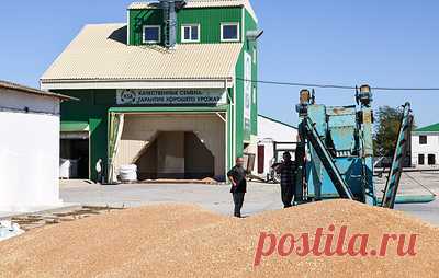 Сбер инвестирует 2,3 млрд рублей в развитие АПК Крыма. За 10 месяцев 2025 года банк предоставил уже около 1,3 млрд рублей на оборотное финансирование и развитие бизнес-проектов