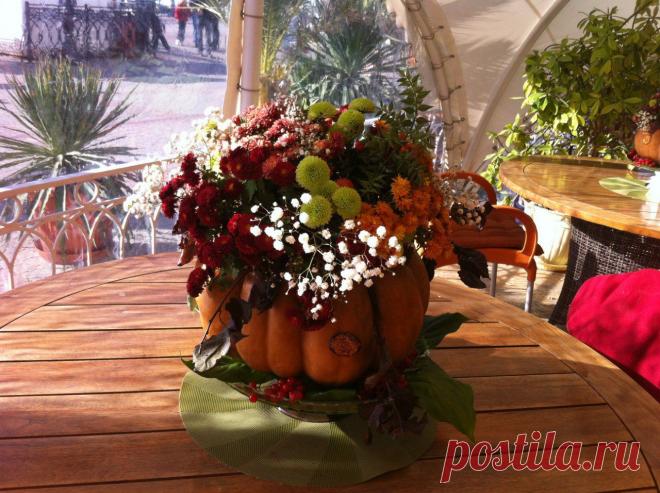 Мария Кифоренко