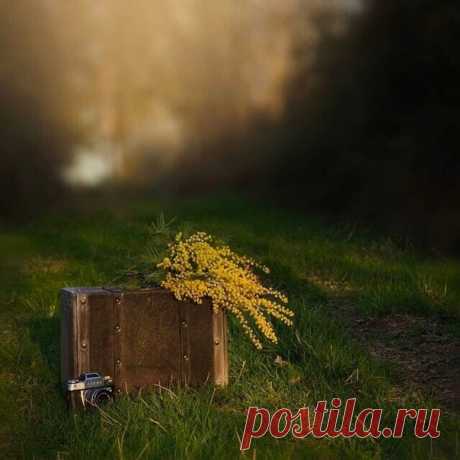 Мечты сбываются в определенный момент. И этот момент называется - «Всему свое время!»