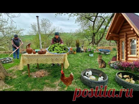 Жареная Крапива. Очень Вкусное  Блюдо. Чиргин Лезгинская Кухня