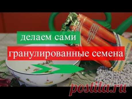 Как сделать гранулированные семена, Или козюли от Юли :-)