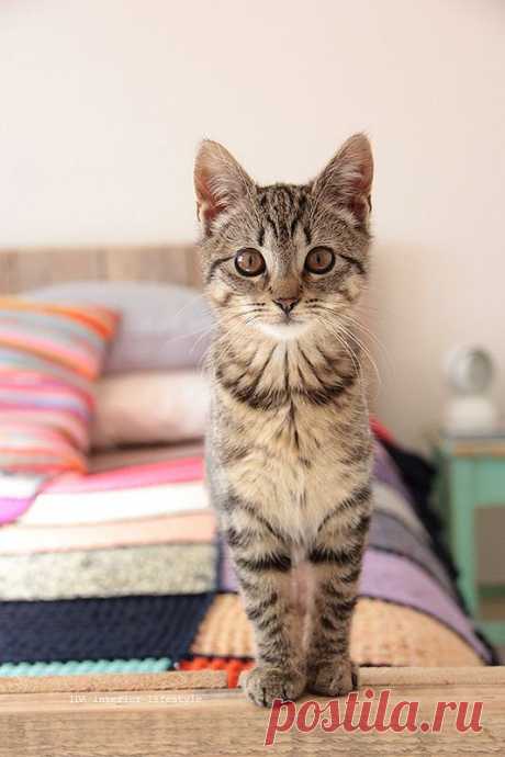 Penny Lane #3 | Flickr - Photo Sharing!