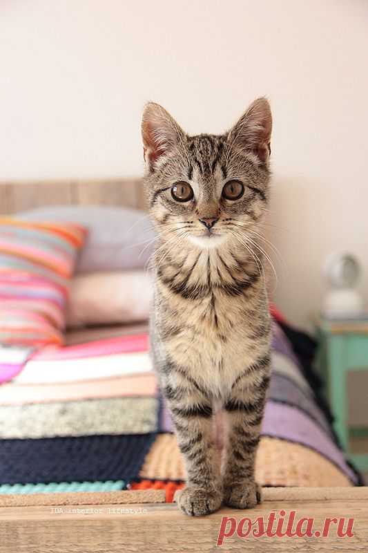 Penny Lane #3 | Flickr - Photo Sharing!