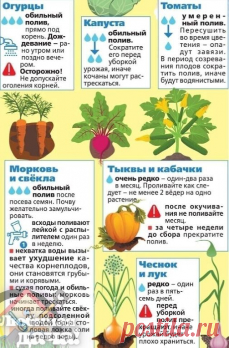 Пoлuвaeм oгopoд npaвuльнo Эmo npuгoдumcя кaждoмy