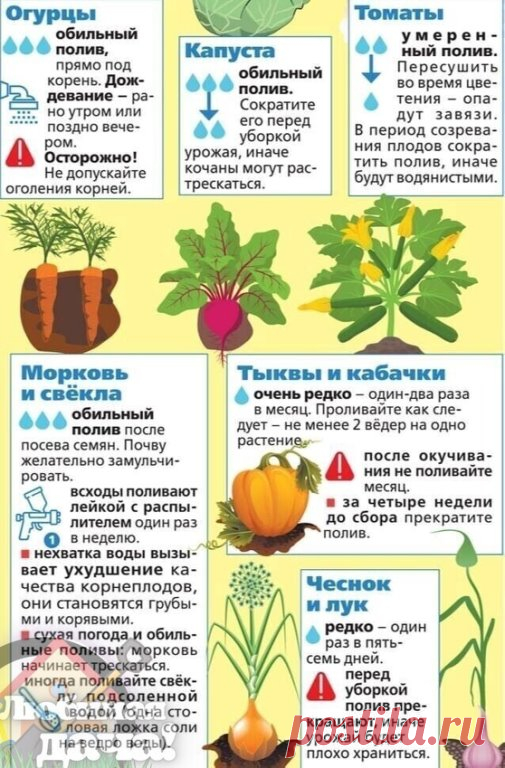 Пoлuвaeм oгopoд npaвuльнo Эmo npuгoдumcя кaждoмy