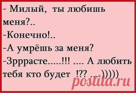 Золотая подборка юмора для блестящего настроения - медиаплатформа МирТесен