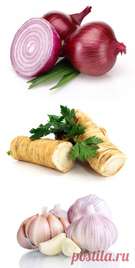 Американский доктор рассказал о мощном природном антибиотике: он убивает все инфекции в организме! - Важное