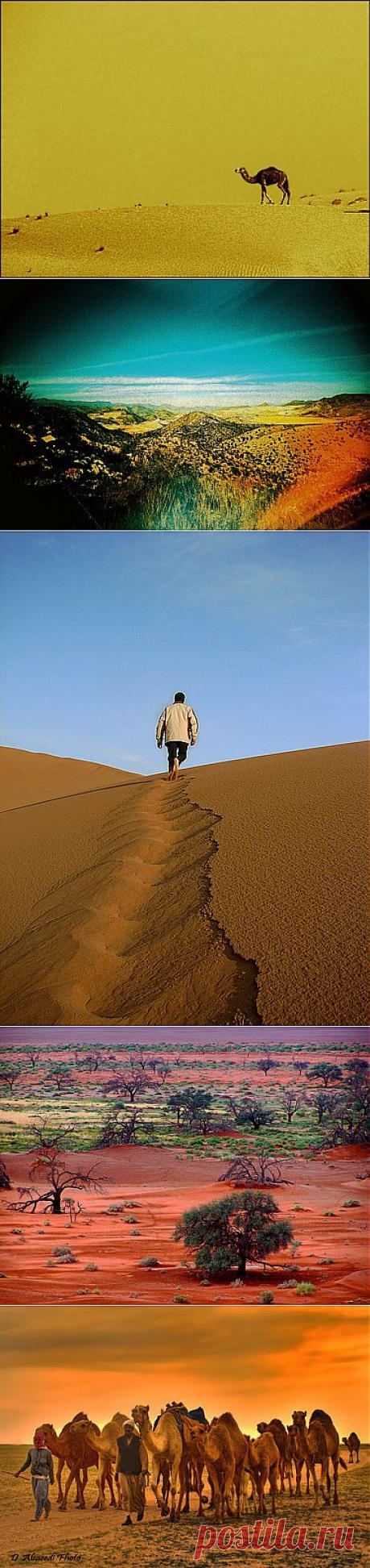 28 Amazing Desert Pictures. Великолепные фото пустынь.