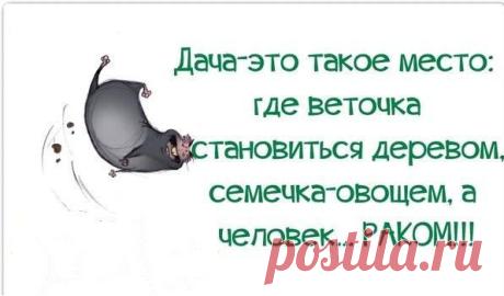 )))