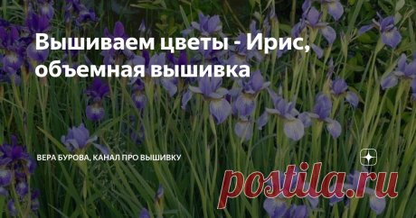Вышиваем цветы - Ирис, объемная вышивка Дорогие друзья и подписчики моего канала, сегодня четвертая публикация сериала "Вышиваем цветы", в котором я планирую показывать вам, как можно вышить в разных техниках самые разные цветы. Мне хочется, чтобы вы активно участвовали в этом сериале - вышивали по моим урокам, показывали свои работы, сообщали мне свои пожелания о цветах, которые вы хотели бы вышить! Вам совсем необязательно вышивать всеми техниками, выберите какая вам нра...