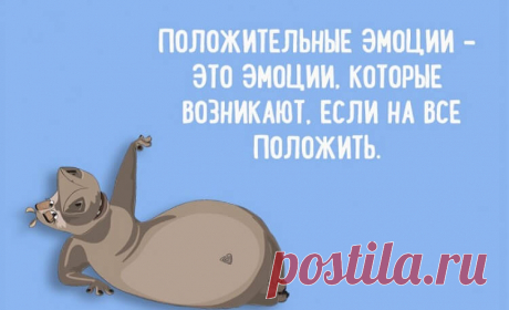 Немного забавной философии- На жизнь нужно смотреть проще!